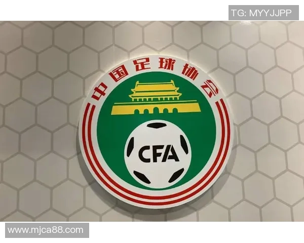 委内瑞拉与阿根廷激战正酣比分揭晓引发球迷热议